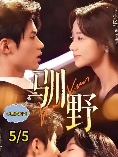青春交响曲 爱情 2026